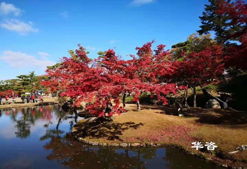 華咨水資源論證科技：創新論證方式，提升水資源利用效率