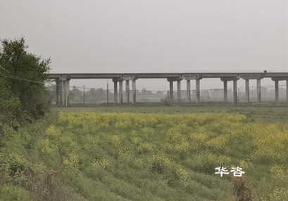 好消息！華咨公司測量團隊再次交付岳陽、常德項目水下地形圖測量成果