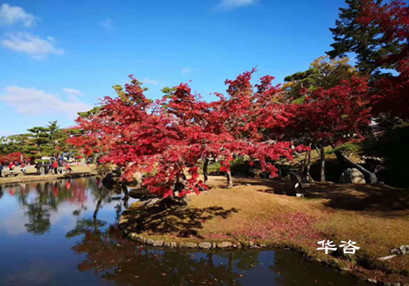 華咨公司交通工程師團隊赴江西南昌就藥材小鎮(zhèn)建設(shè)項目開展交通量現(xiàn)狀調(diào)研