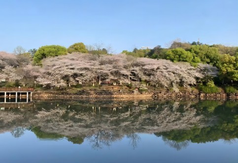 江西省專業(yè)交通技術(shù)服務(wù)公司_華咨航評和交評的核心優(yōu)勢有哪些？