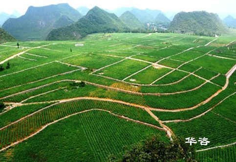 湖南省工程建設(shè)項目編制地質(zhì)災(zāi)害評估報告的積極意義